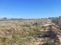 Resale - Land - Crevillente - Crevillent