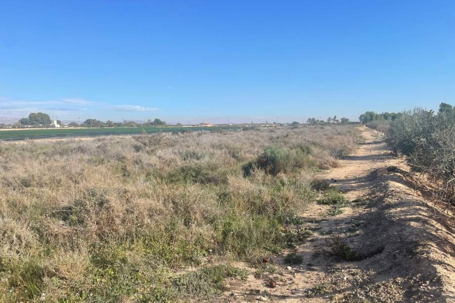 Resale - Land - Crevillente - Crevillent
