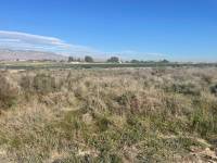 Resale - Land - Crevillente - Crevillent