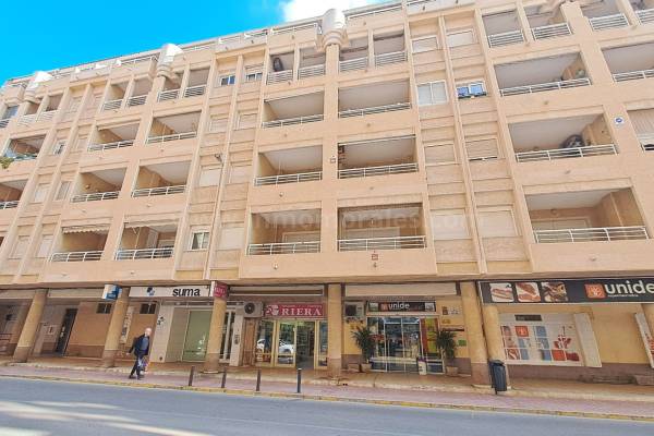 Wohnung/Apartment - Wiederverkauf - La Mata - La Mata