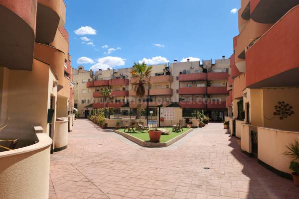 Penthouse / Dakappartement - Herverkoop - Almoradí - Almoradí