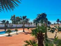 Herverkoop - Villa ( Finca ) - Catral