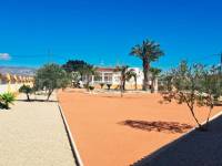 Herverkoop - Villa ( Finca ) - Catral