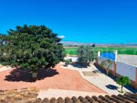 Herverkoop - Villa ( Finca ) - Catral