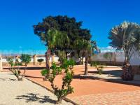 Herverkoop - Villa ( Finca ) - Catral