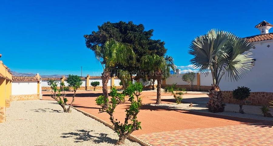 Herverkoop - Villa ( Finca ) - Catral