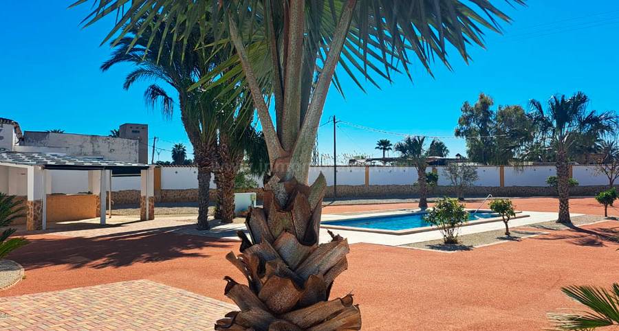 Herverkoop - Villa ( Finca ) - Catral