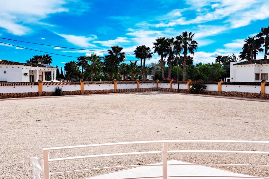 Neubau - Villa ( Finca ) - Catral
