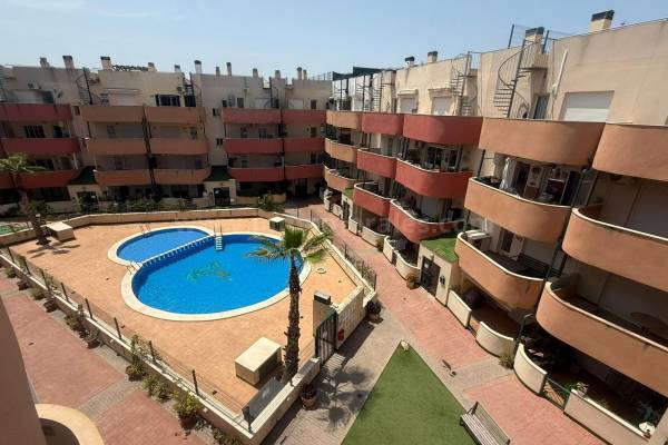 Ático - Venta - Almoradí - Almoradí