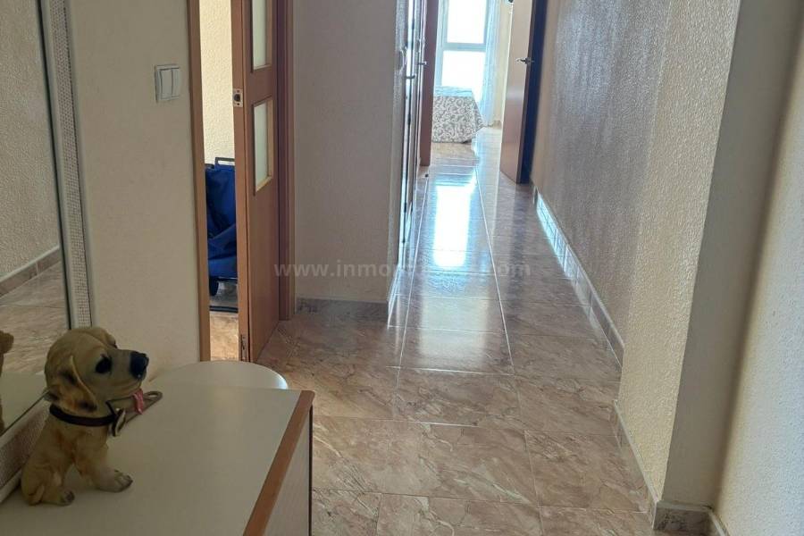 Wiederverkauf - Wohnung/Apartment - Torrevieja - Playa de los Locos