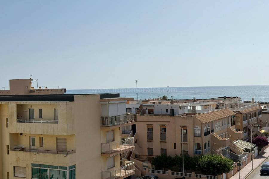 Resale - Apartment  - La Mata