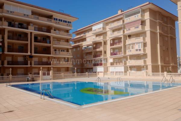Apartamento / Piso - Venta - La Mata - La Mata