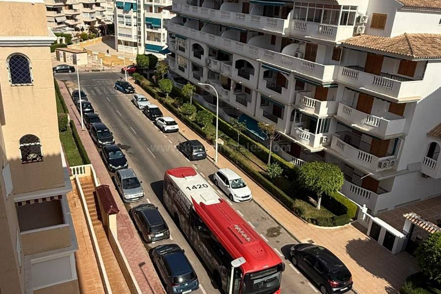 Resale - Apartment  - La Mata