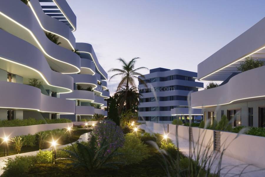 New Build - Apartment  - Guardamar del Segura - El Raso