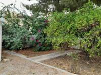 Herverkoop - Villa ( Finca ) - Benejúzar