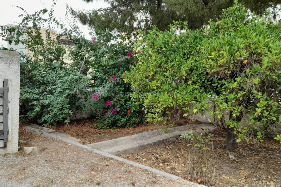 Herverkoop - Villa ( Finca ) - Benejúzar