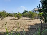 Herverkoop - Villa ( Finca ) - Benejúzar