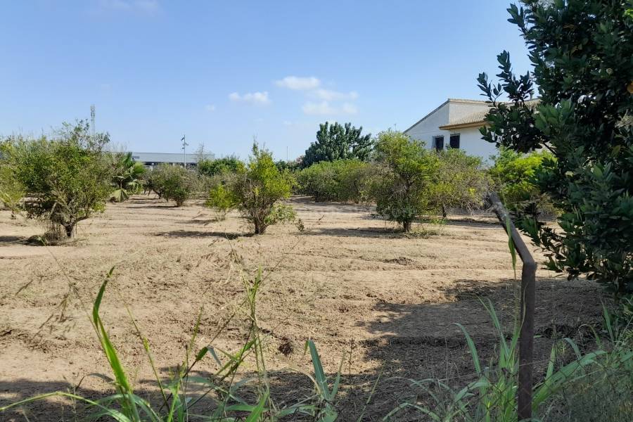 Herverkoop - Villa ( Finca ) - Benejúzar