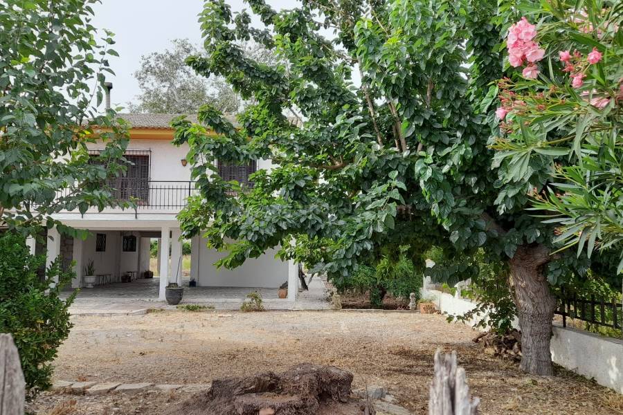 Herverkoop - Villa ( Finca ) - Benejúzar