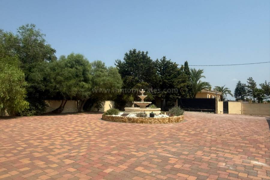 Revente - Villa ( Finca ) - Catral