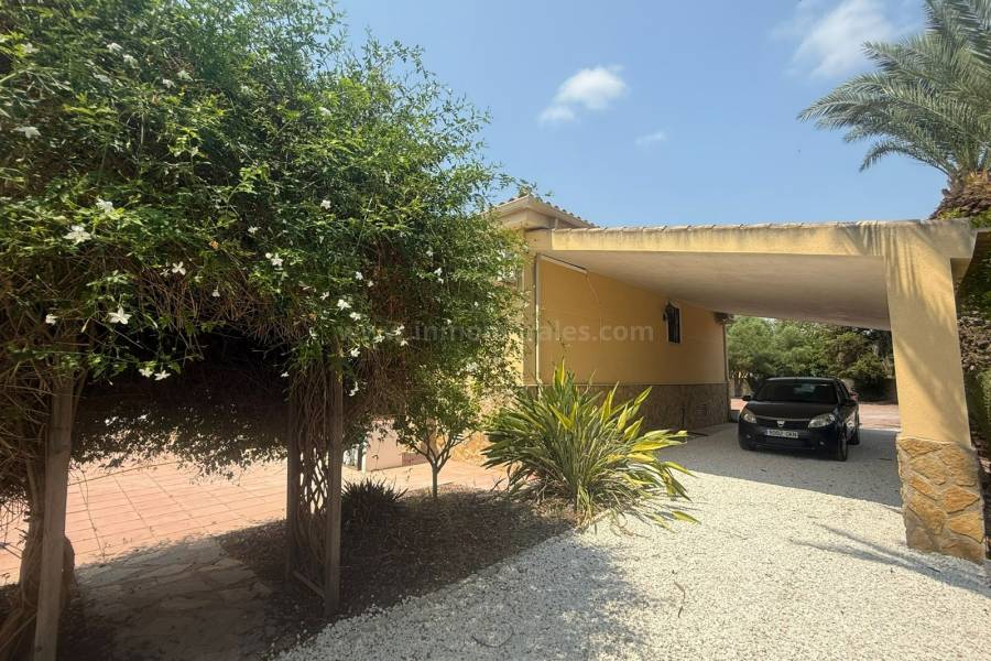 Revente - Villa ( Finca ) - Catral