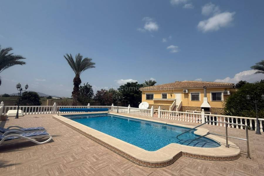 Revente - Villa ( Finca ) - Catral