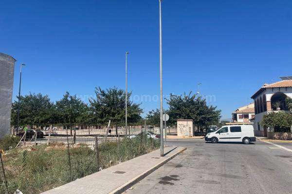 Terrain - Terrain - Almoradí - Almoradí