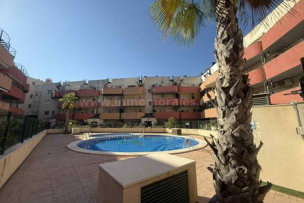 Appartement - Revente - Almoradí - Almoradí