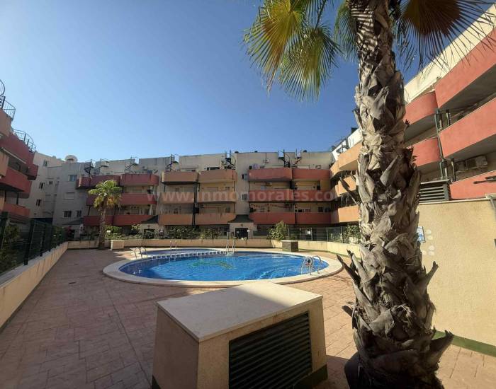 Appartement - Revente - Almoradí - Almoradí