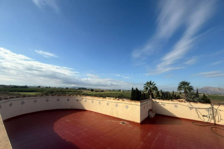 Revente - Villa ( Finca ) - Catral
