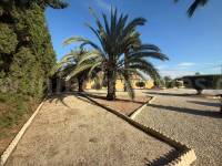 Revente - Villa ( Finca ) - Catral