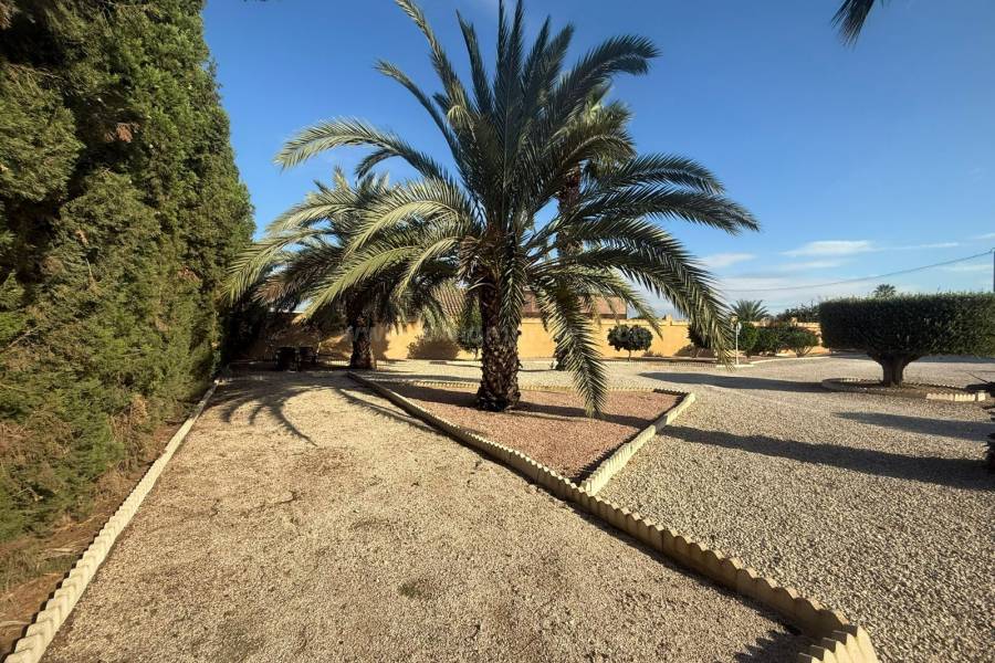 Revente - Villa ( Finca ) - Catral