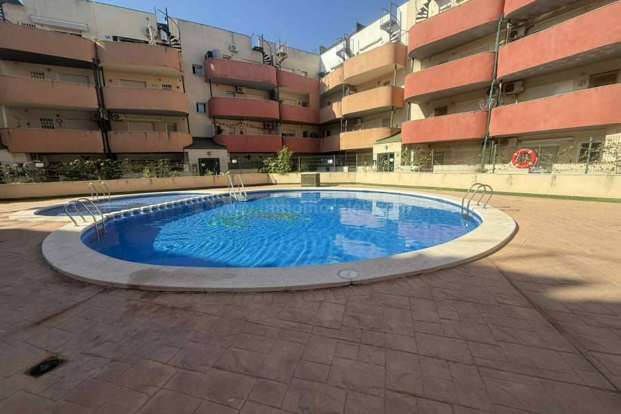 Revente - Appartement - Almoradí