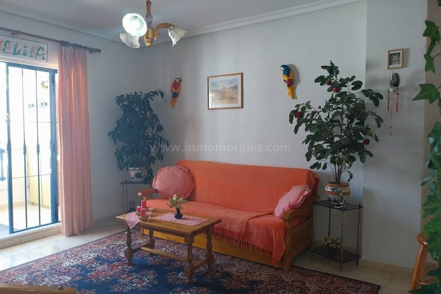 Revente - Appartement - La Mata