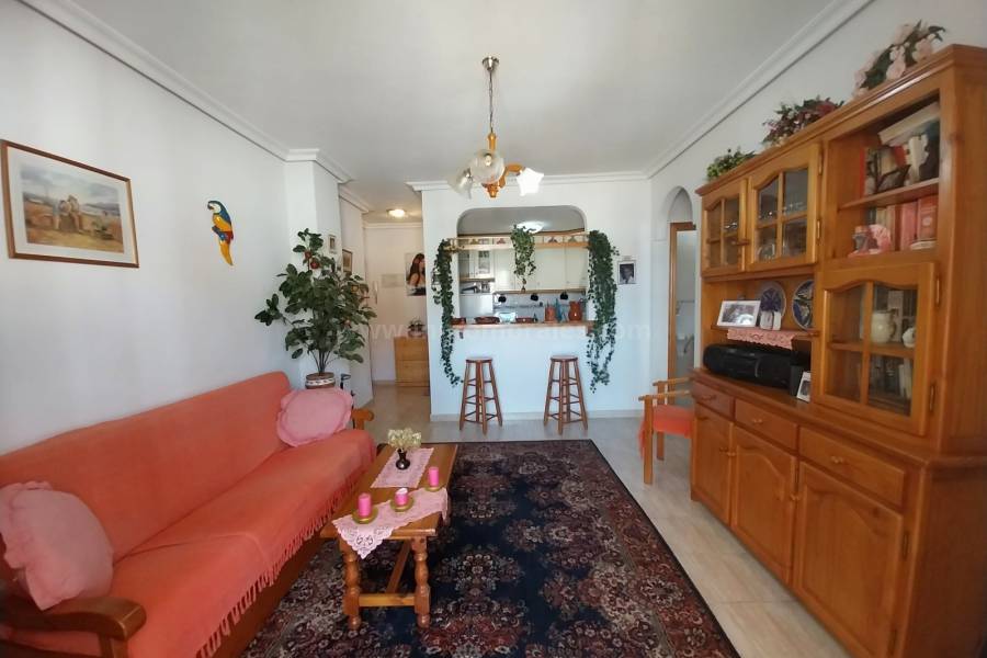 Revente - Appartement - La Mata
