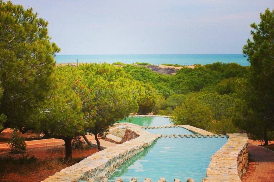 Revente - Appartement - La Mata