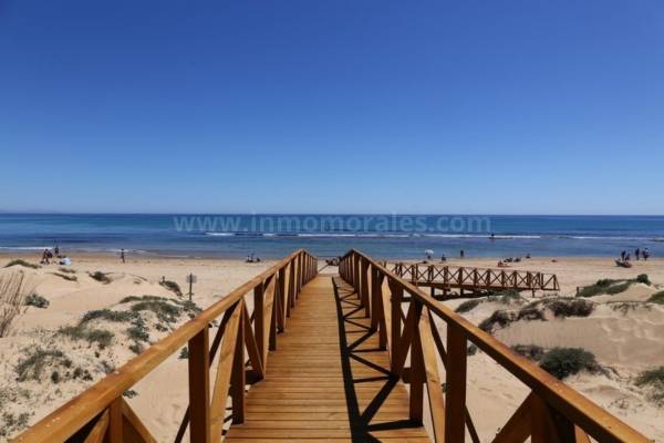 Wohnung/Apartment - Wiederverkauf - La Mata - La Mata