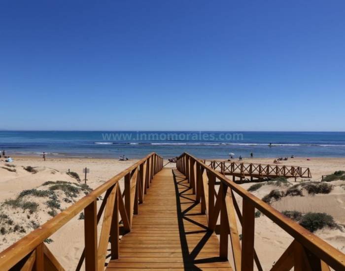 Wohnung/Apartment - Wiederverkauf - La Mata - La Mata