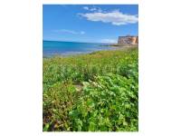 Resale - Apartment  - La Mata