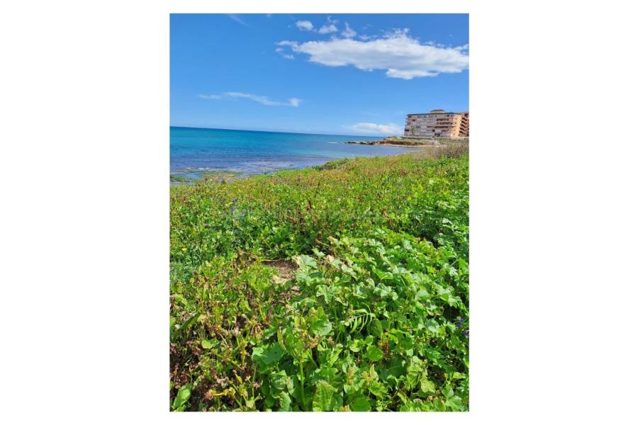 Resale - Apartment  - La Mata