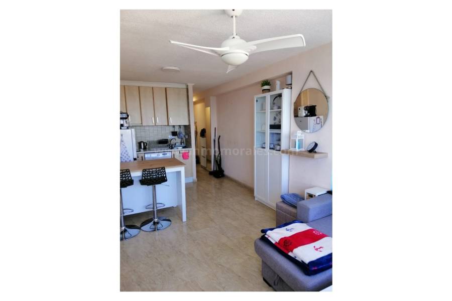 Resale - Apartment  - La Mata