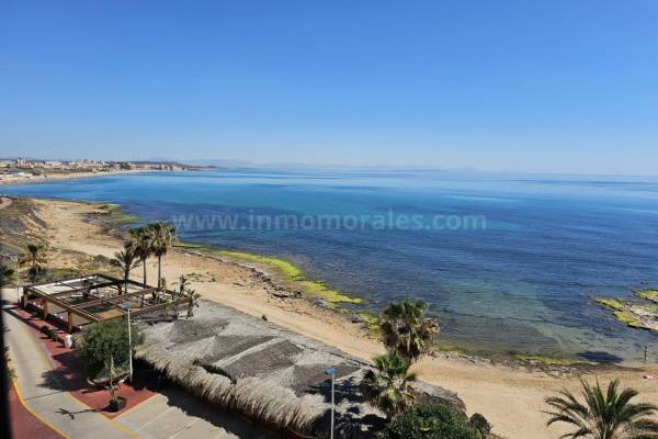 Appartement - Revente - La Mata - La Mata
