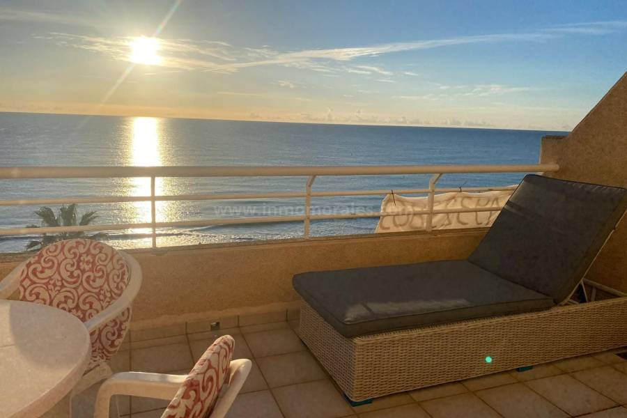 Resale - Penthouse - La Mata