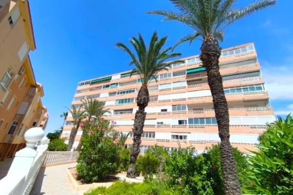 Apartment  - Resale - La Mata - La Mata
