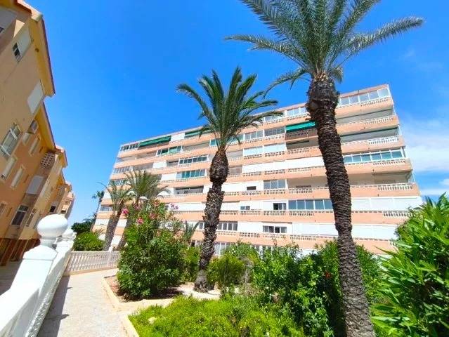 Wohnung/Apartment - Wiederverkauf - La Mata - La Mata