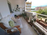 Revente - Appartement - Almoradí