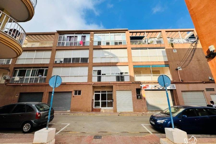 Venta - Apartamento / Piso - La Mata