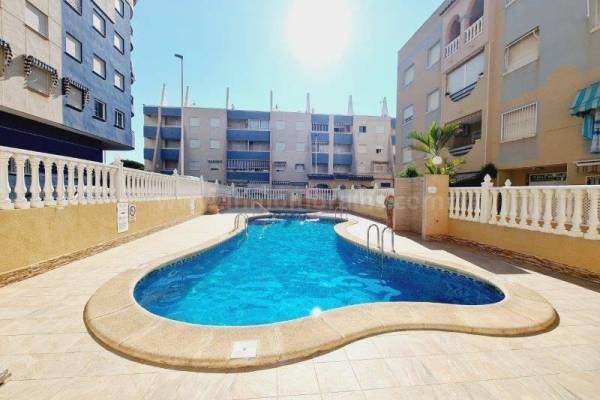 Wohnung/Apartment - Wiederverkauf - La Mata - La Mata