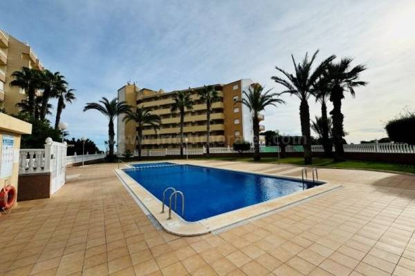 Apartment  - Resale - La Mata - La Mata