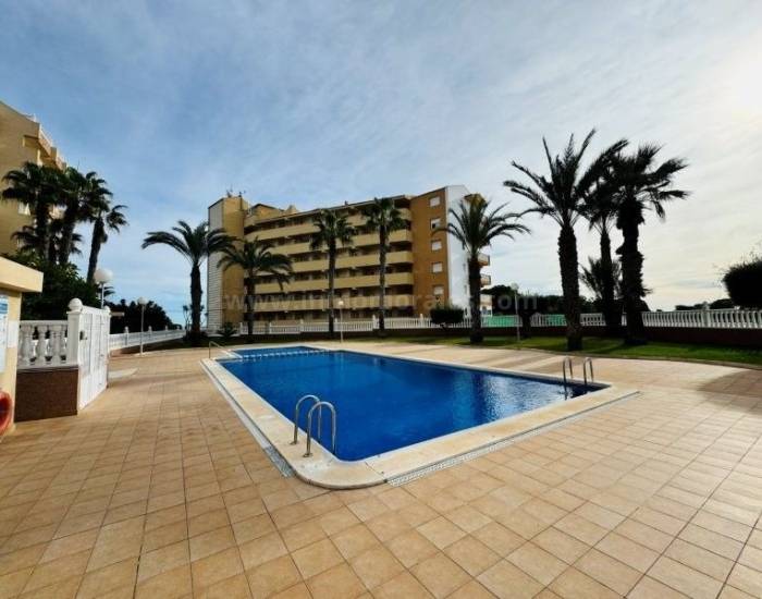 Appartement - Herverkoop - La Mata - La Mata